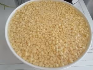 綠豆冰糕
