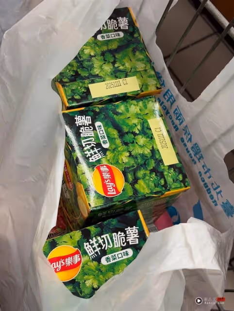 超美「人間芭比」韓星來台竟狂掃香菜餅乾！網看崩潰：味道我真的不行啊
