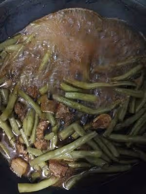 百吃不厭的東北豆角燉肉