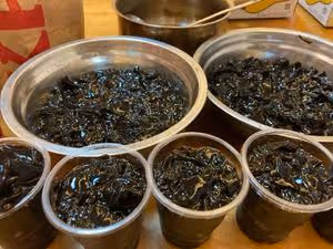 如何熬出光滑嫩嫩的燒仙草黑涼粉
