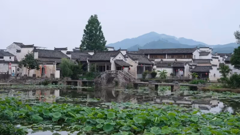 兒媳要辭職帶娃,我反對並拿8000請人帶孫,三年後兒媳說我幫了她。