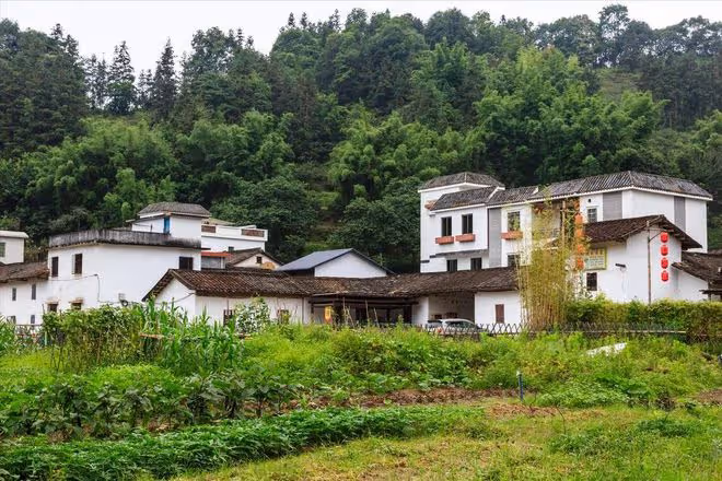 農村再好，我寧願在城裡買房，也不會花幾十萬回村建房給父母養老