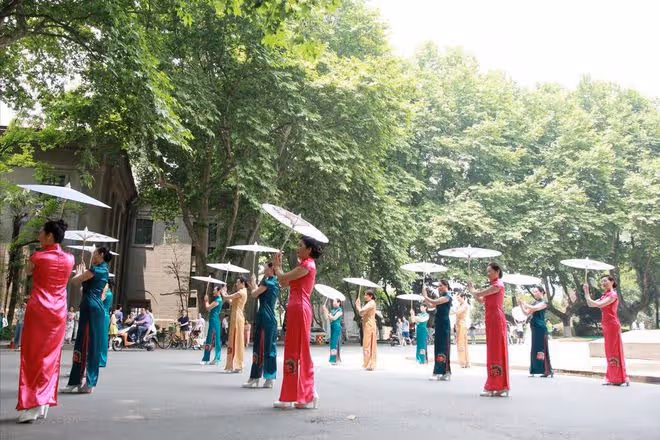 我53歲，退休後參加旗袍模特團，不到半年我就逃離了，經歷很鬧心