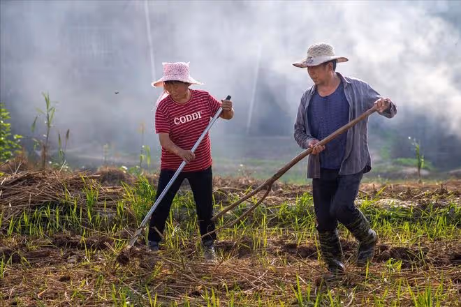我活到43歲才發現：世界上最好的養生方式，其實是「遠離人群」