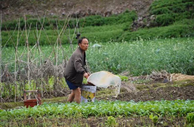 奉勸年紀還不老的單身男人，即使能衣食無憂，也不要一直待在農村