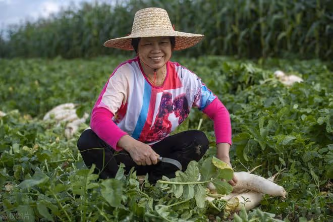 退休老人最好的愛好，不是跳舞打麻將，而是找一塊土地好好種菜