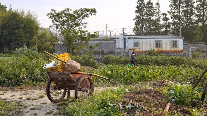 寧在城裡買張床，也別回農村自建房？普通家庭真不建議回農村建房