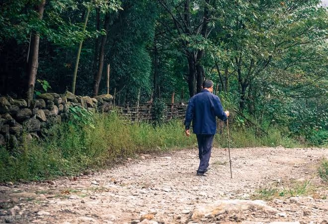 60歲回老家住了半個月才發現：農村環境再好，我們也回不去了