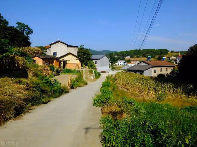 60歲回老家住了半個月才發現：農村環境再好，我們也回不去了