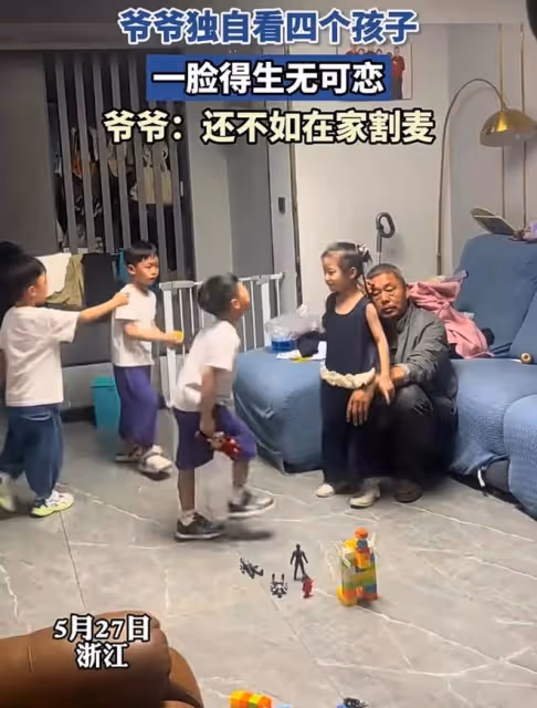 爺爺獨自在家看四個孩子，一臉生無可戀，爺爺：還不如在家割麥子