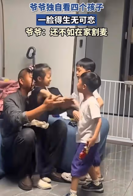 爺爺獨自在家看四個孩子，一臉生無可戀，爺爺：還不如在家割麥子
