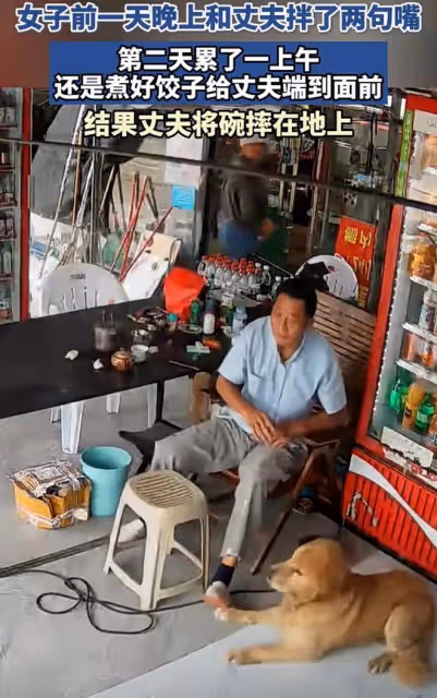 夫妻倆前天拌嘴，隔天妻子下班做好餃子端給丈夫，卻被他打翻在地