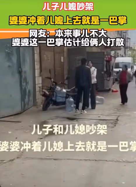 兒子兒媳吵架，婆婆衝上去給兒媳一巴掌，網友：就沖那巴掌必須離