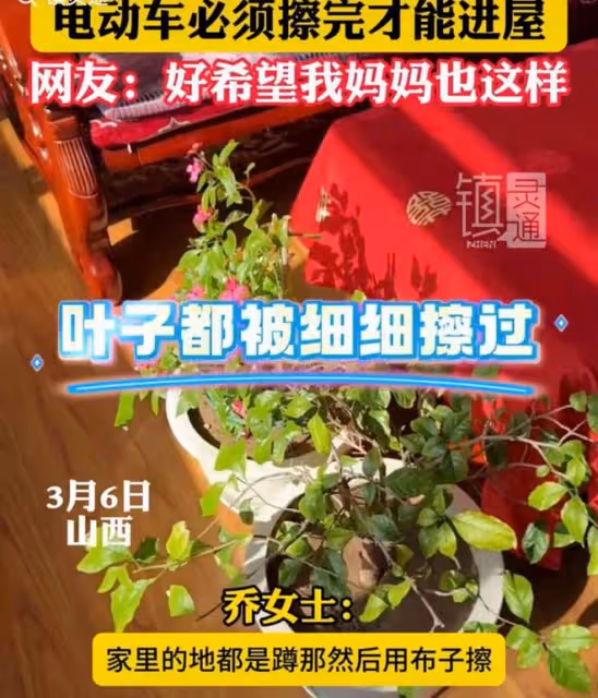 女兒吐槽媽媽每天六點起床打掃衛生，擦玻璃，家裡花的葉子都要擦