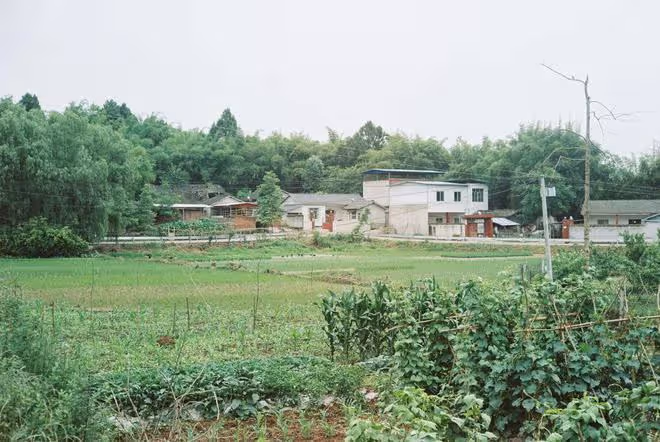 弟弟去世前和弟媳領了離婚證，我媽生病住院，我侄子有義務照顧嗎