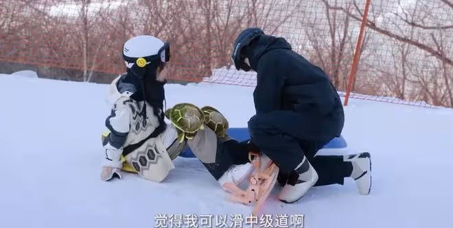 噓國王在冬眠原著叫什麼,故事梗概詳細簡介