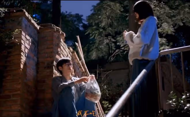 樹下有片紅房子陳歡爾和誰在一起了,景棲遲正宮