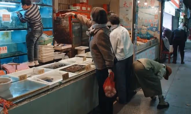 180天重啟計劃人物關係,媽媽的媽媽叫外婆,親爸後爸都是爸