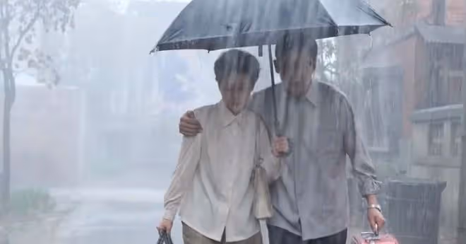 小說六姊妹中每人的結局,活到老,學到老,學到了