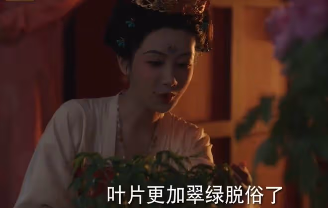 國色芳華花鳥使是什麼職位,蔣長揚的身份選美大使,美食高管