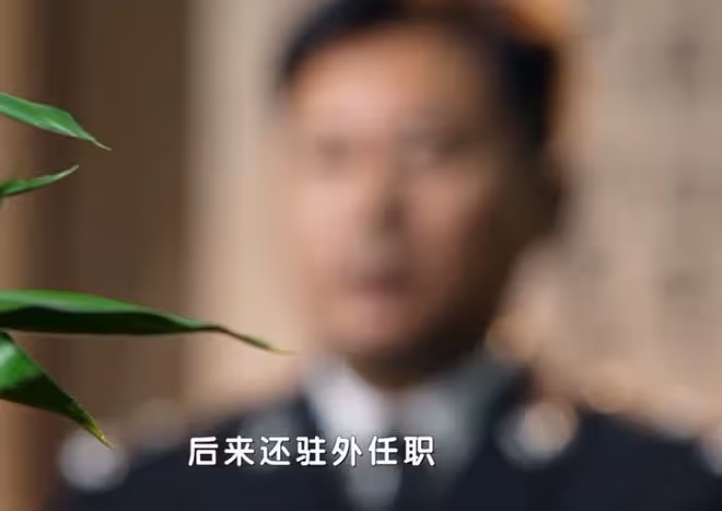 真心英雄劉嘉英原型是誰,陳昕茹故事對比測評