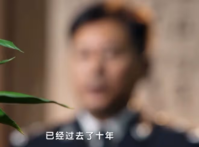真心英雄劉嘉英原型是誰,陳昕茹故事對比測評