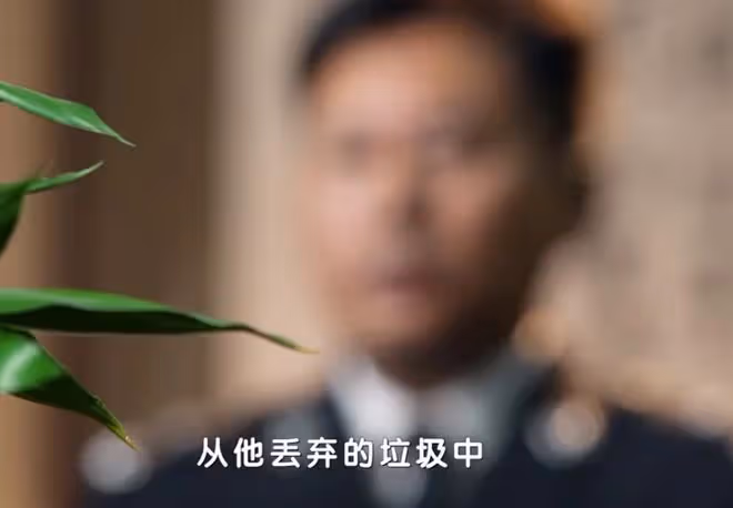 真心英雄劉嘉英原型是誰,陳昕茹故事對比測評