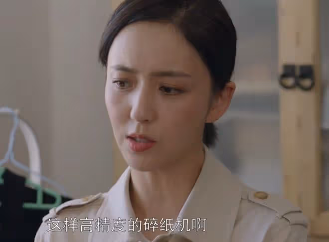 真心英雄劉嘉英原型是誰,陳昕茹故事對比測評