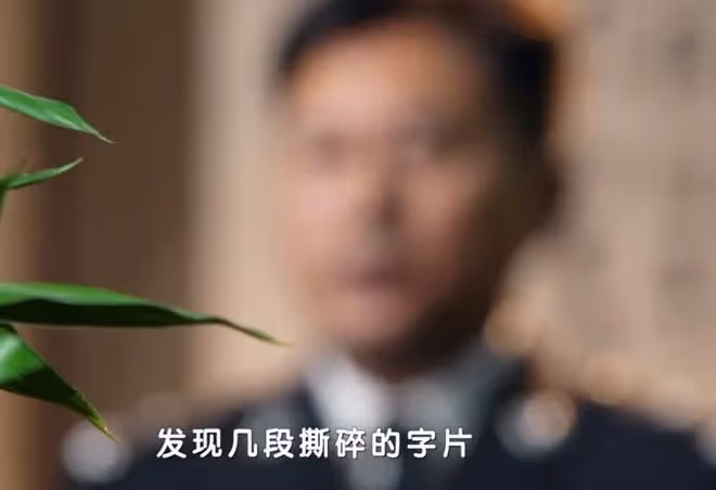 真心英雄劉嘉英原型是誰,陳昕茹故事對比測評