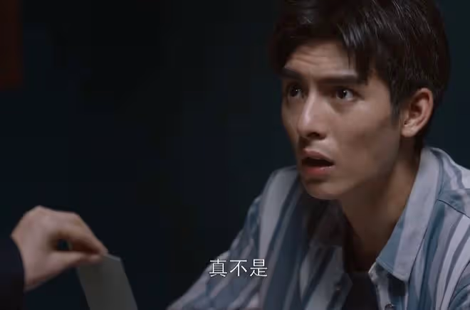 真心英雄劉嘉英原型是誰,陳昕茹故事對比測評