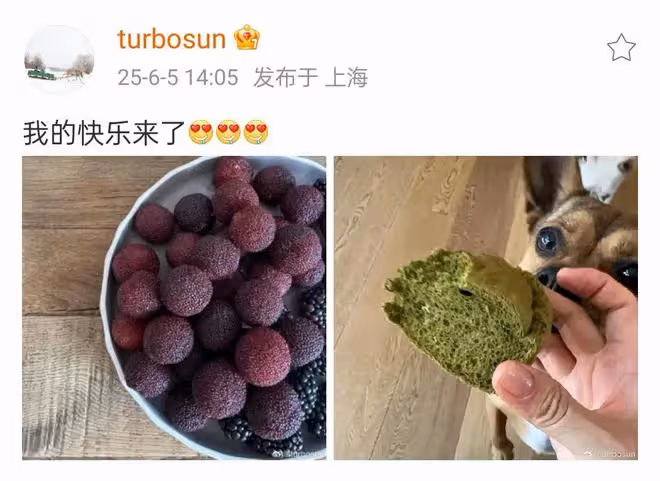 被傳移民英國孫儷發文了，網友說她是現實版的胡曼黎