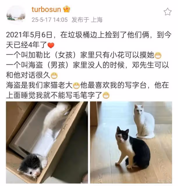 被傳移民英國孫儷發文了，網友說她是現實版的胡曼黎