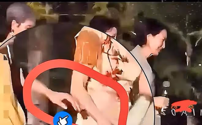 直到葉童主動退出《新白》巡演，周星馳說的那句話終於有人信了