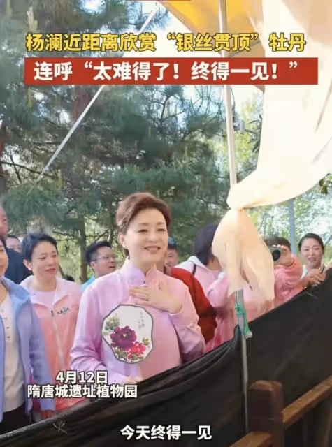 都穿粉色民國服當形象大使，被說國泰民安臉劉濤比楊瀾差點