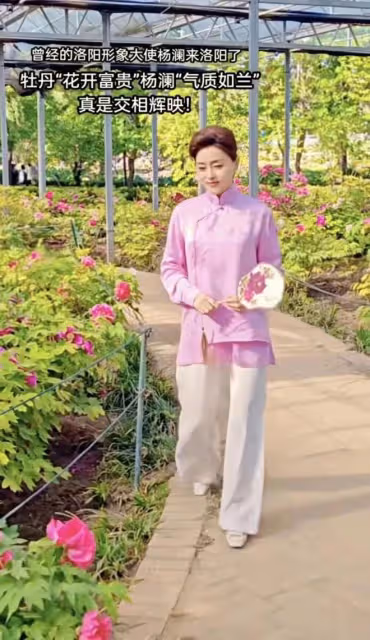 都穿粉色民國服當形象大使，被說國泰民安臉劉濤比楊瀾差點