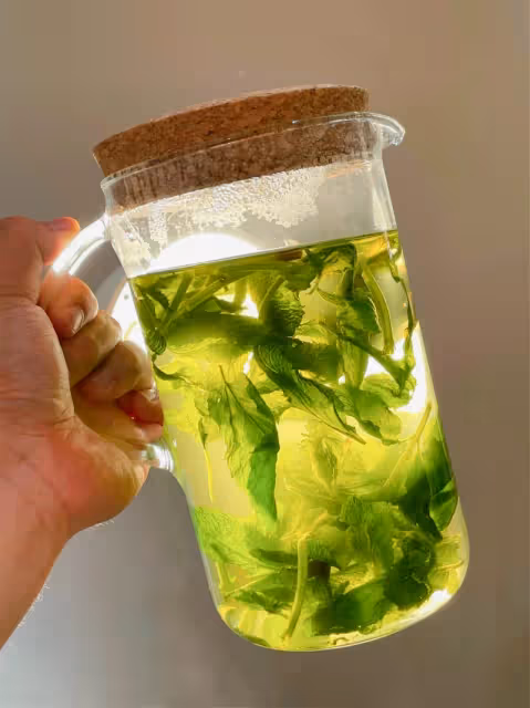 摩洛哥降暑茶！夏天誰能離得開薄荷啊！！