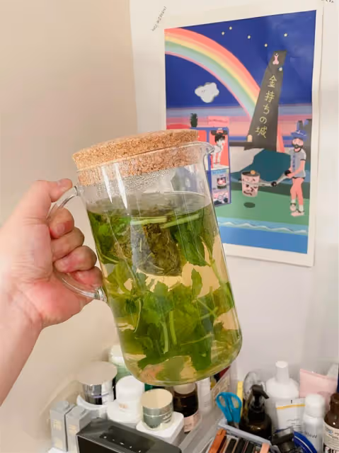 摩洛哥降暑茶！夏天誰能離得開薄荷啊！！