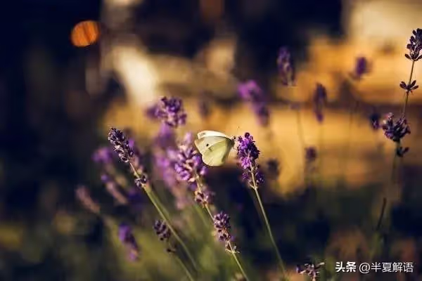 兒媳出30萬裝修，還幫還了2年房貸，卻無意發現房產只有婆婆名字