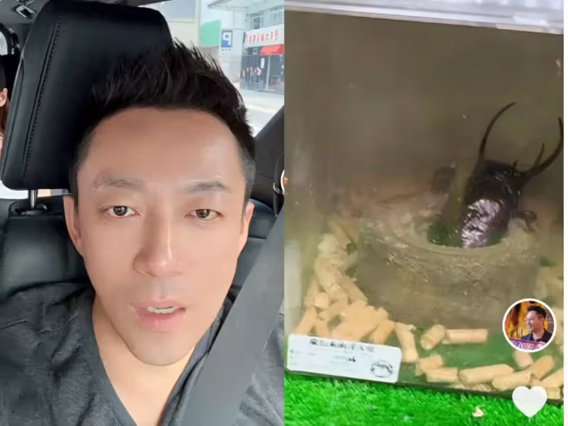 汪小菲曬父親節行程,帶孩子去買寵物,玥兒箖箖都出鏡,好有愛