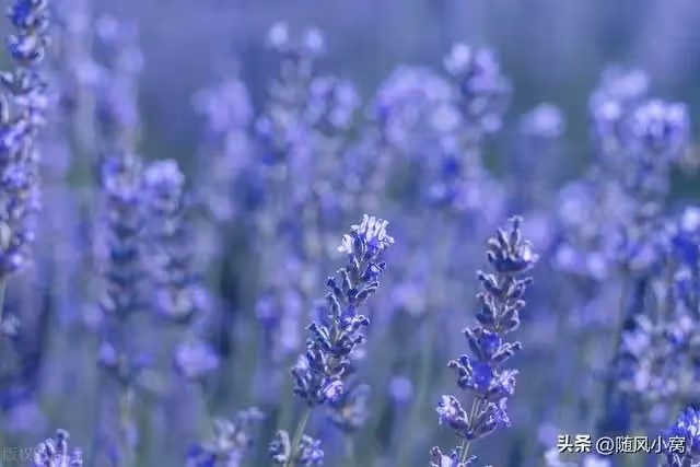 我存了20萬要跟男友一起買房，他卻跟我借錢買自己的房，我分手了
