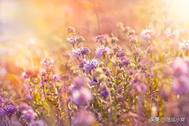 我媽幫我們帶大了兩個女兒，老公卻把她趕走了，我氣得提出了離婚。