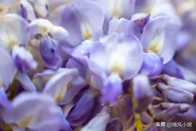 大姑姐夫妻仗著恩情扣押老公的工資，氣得我讓老公辭職，她卻慌了
