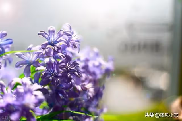 大姑姐夫妻仗著恩情扣押老公的工資，氣得我讓老公辭職，她卻慌了