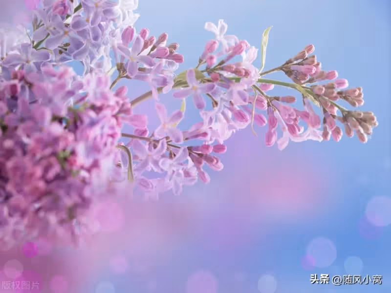 連生了2個兒子，婆婆卻逼我打掉三胎去領養女兒，說我沒生女兒命。