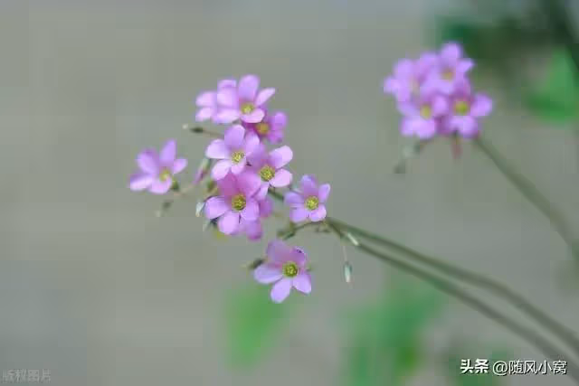 結婚前檢查出有病，婆婆說彩禮不給了，嫁妝不能省，我乾脆分手了