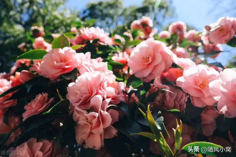 我只是每月給爸媽2000生活費，老公就要跟我離婚，是不是太過分了