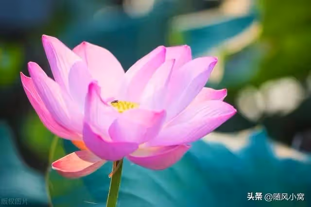剛學走路的寶寶被開水燙傷，治療需要30萬，婆婆卻讓我娘家全部出