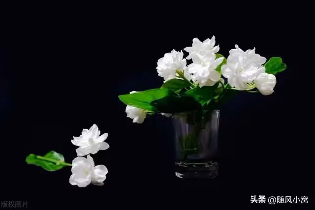 婆婆說是要幫我帶孩子，卻帶著小姑子和她的兩個女兒一起住進我家
