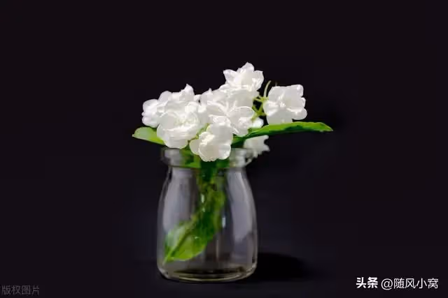 婆婆說是要幫我帶孩子，卻帶著小姑子和她的兩個女兒一起住進我家