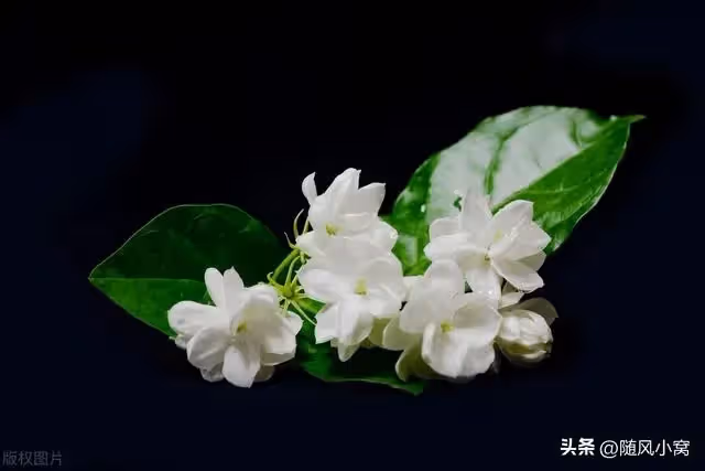 婆婆說是要幫我帶孩子，卻帶著小姑子和她的兩個女兒一起住進我家
